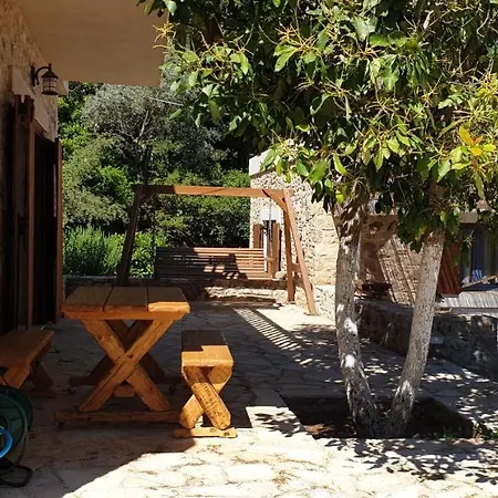 Chaihoutes Stone Into Olive Farm In Zia * Agios Dimitrios (Kos)