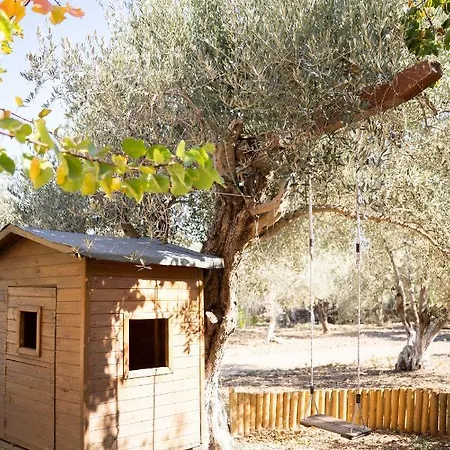 Villa Chaihoutes Stone Into Olive Farm In Zia
